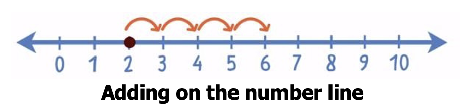 what is use of whole numbers uses in part-1